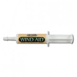 WIND AID oral paste 30g