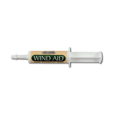 WIND AID pasta orale 30g