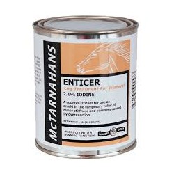 ENTICER