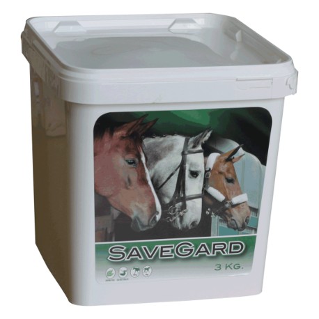 SAVEGARD