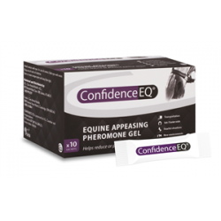 Confidence EQ