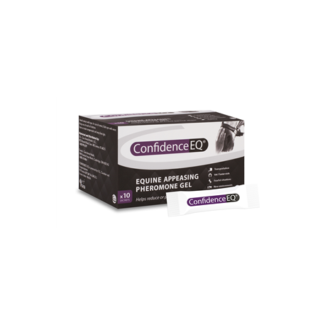 Confidence EQ