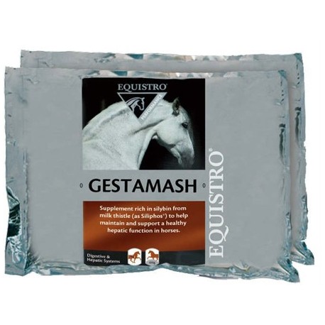 GESTAMASH PROTECT