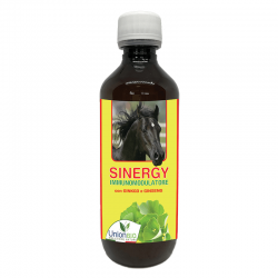 SINERGY