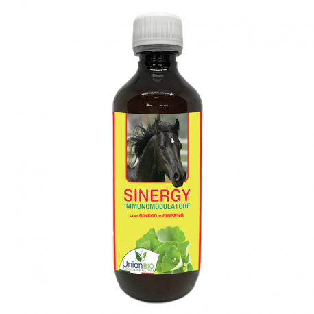 SINERGY